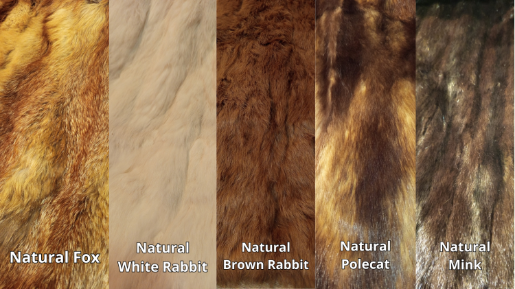 Natural Fox.png